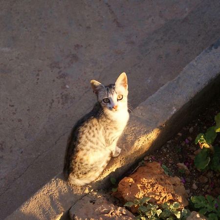 Vila Milo Vuno Bagian luar foto