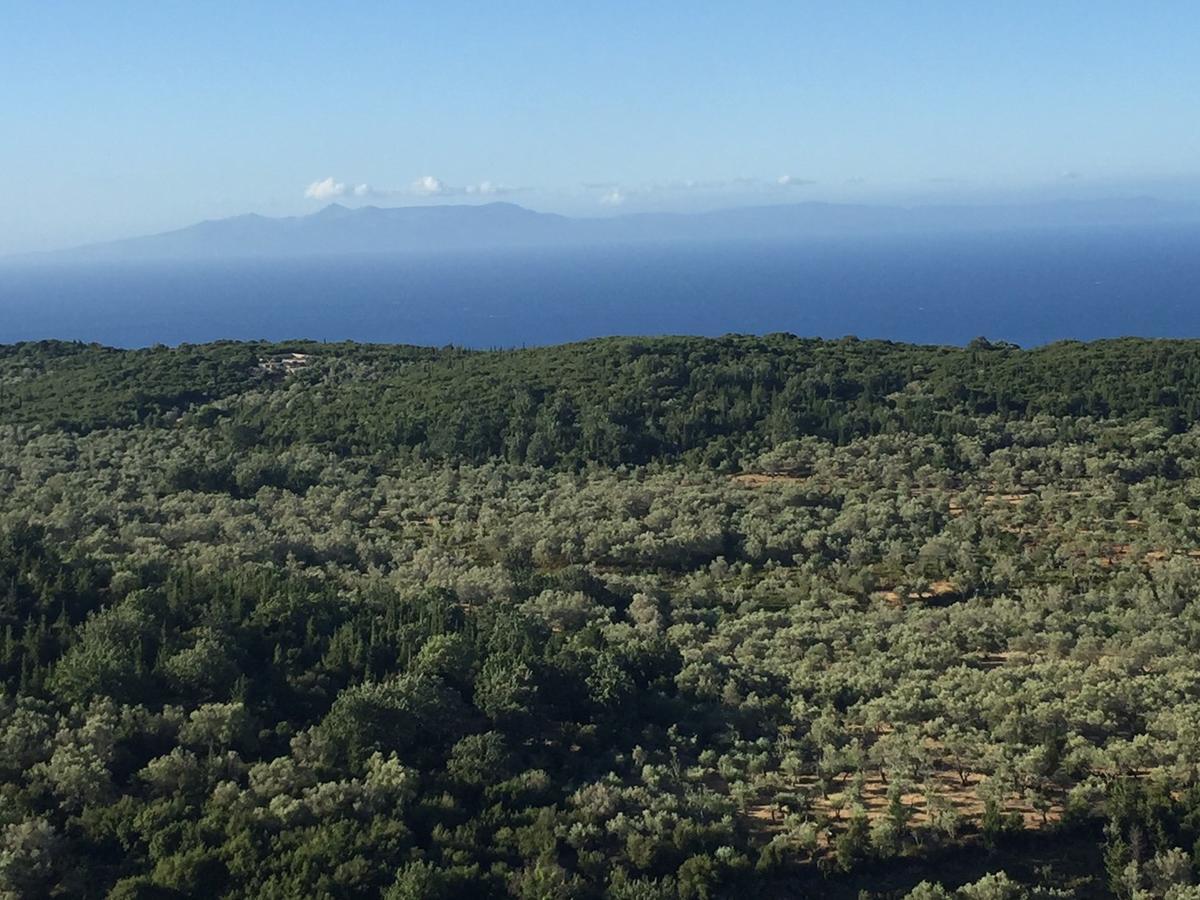 Vila Milo Vuno Bagian luar foto