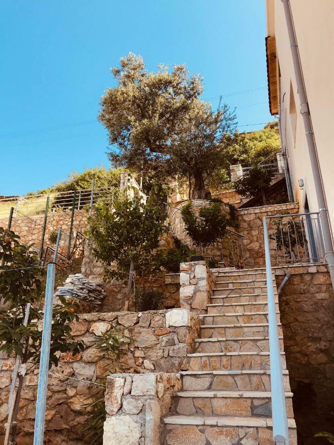 Vila Milo Apartment Vuno Bagian luar foto