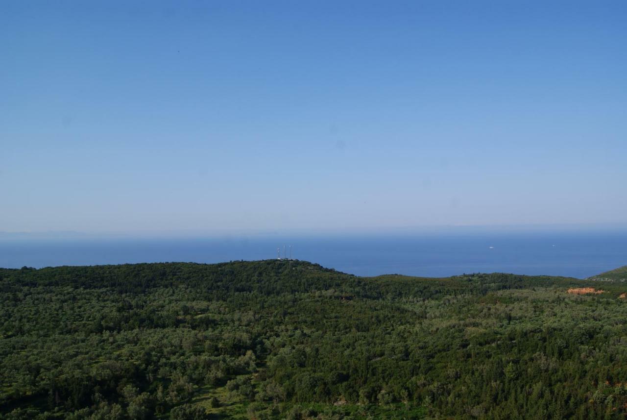 Vila Milo Vuno Bagian luar foto