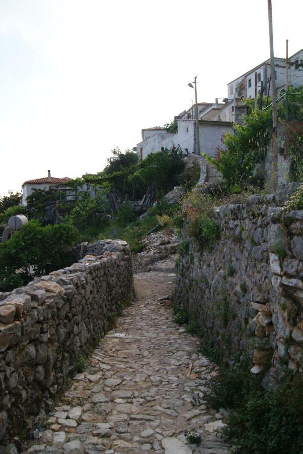 Vila Milo Apartment Vuno Bagian luar foto