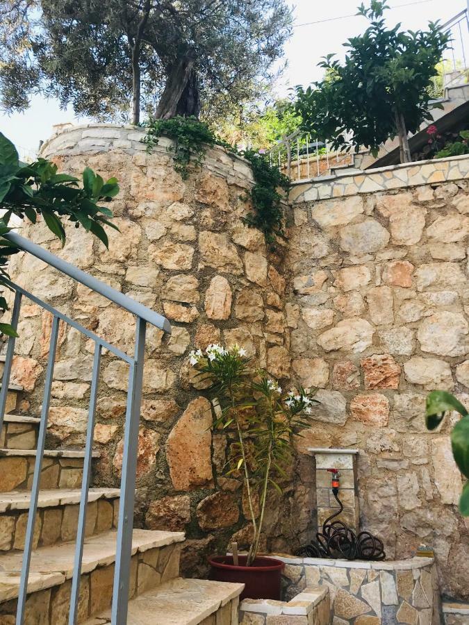 Vila Milo Apartment Vuno Bagian luar foto